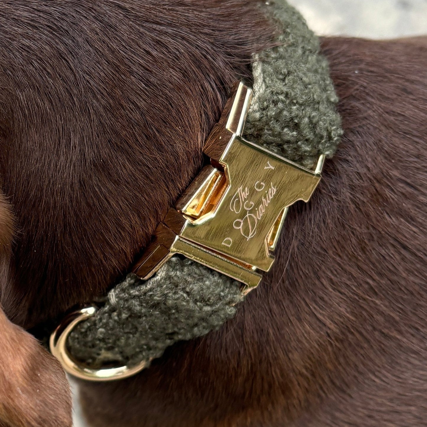 Khaki Teddy Collar