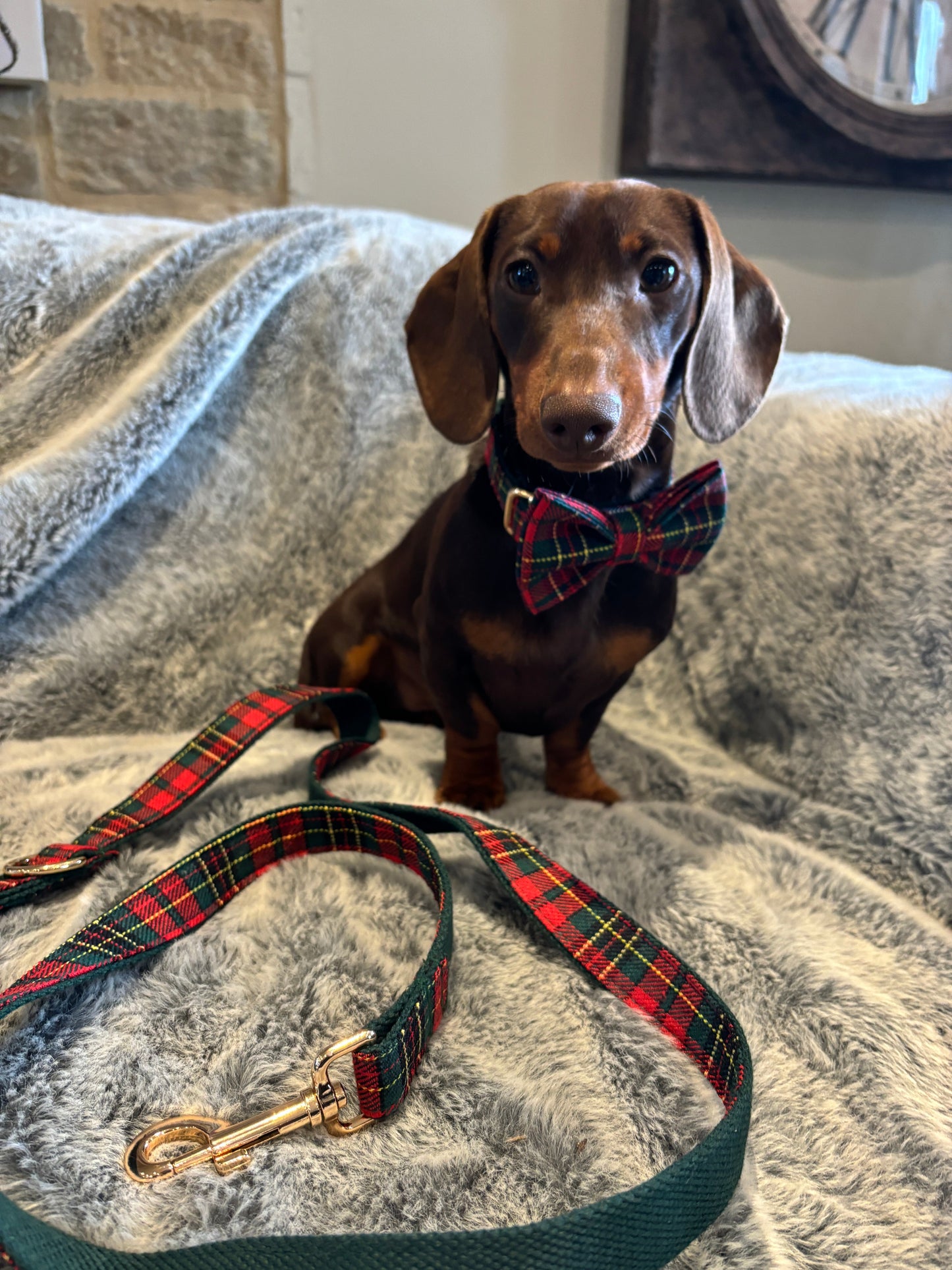 Tartan Collar