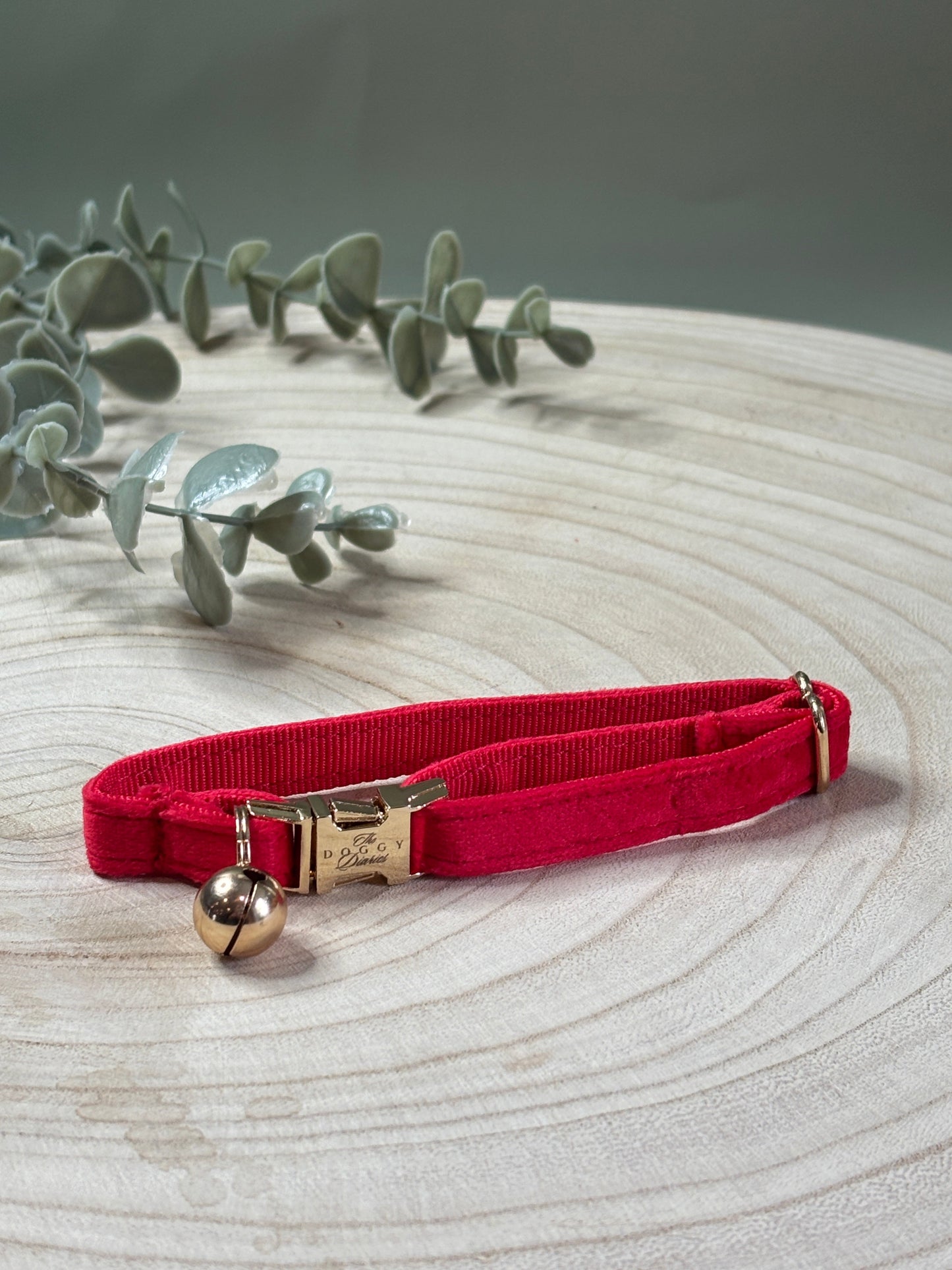 Puppy Velvet Collar