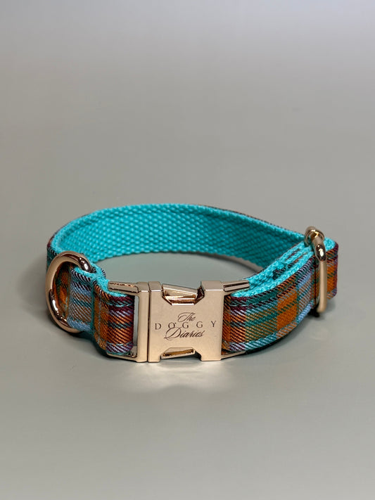 Bright Plaid Collar