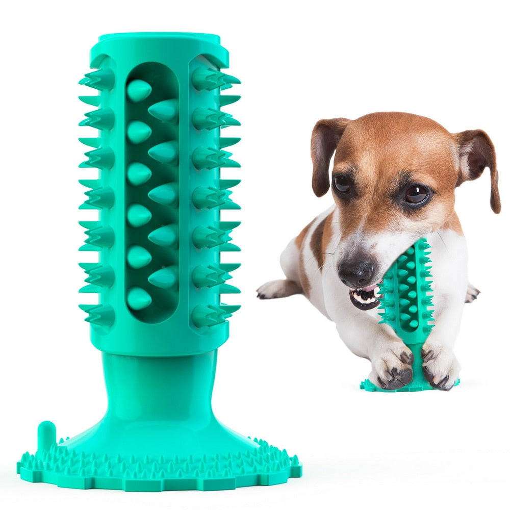 Dental Chew Toy for Small/Medium Dogs