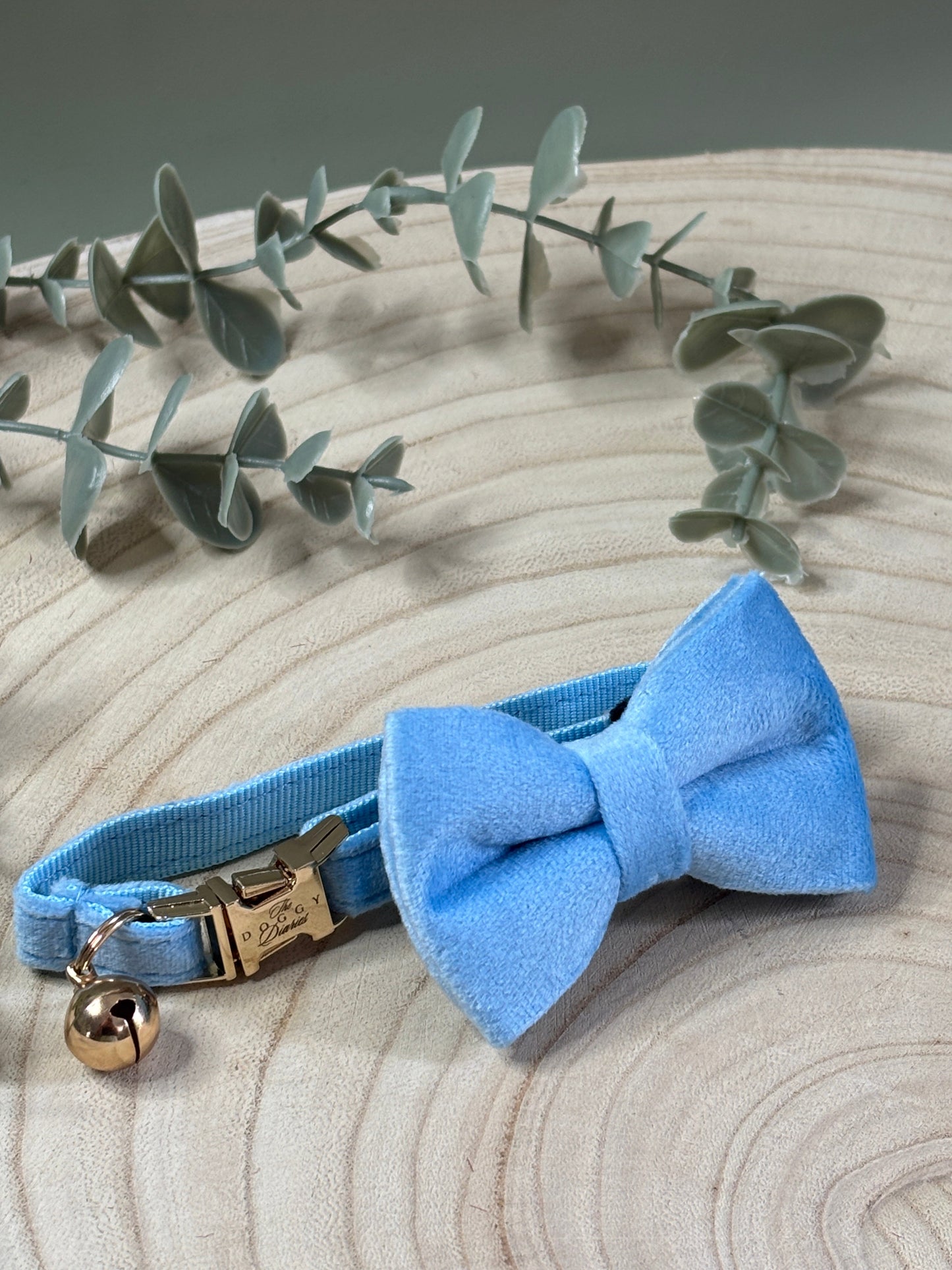 Puppy Velvet Collar