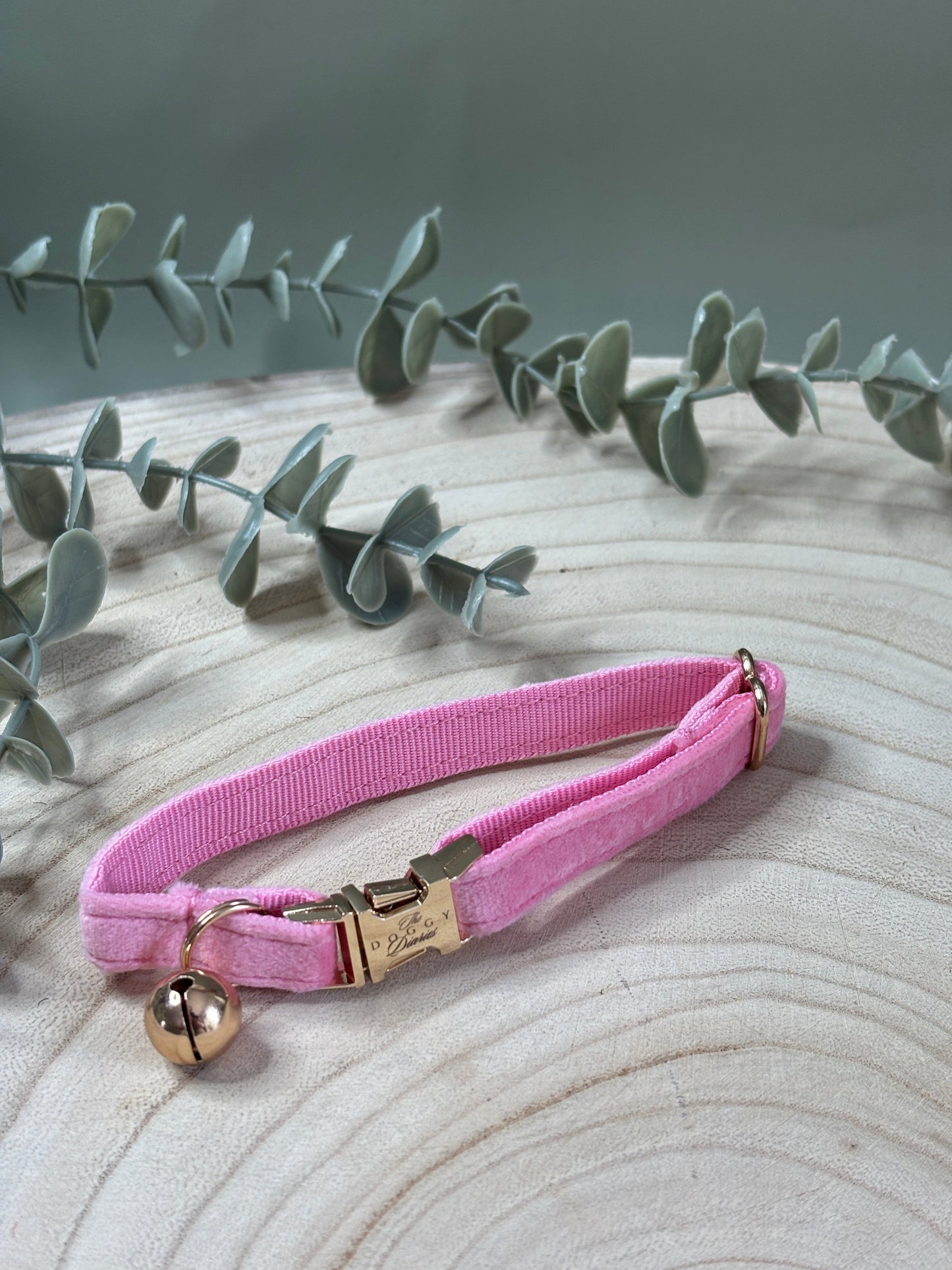 Puppy Velvet Collar