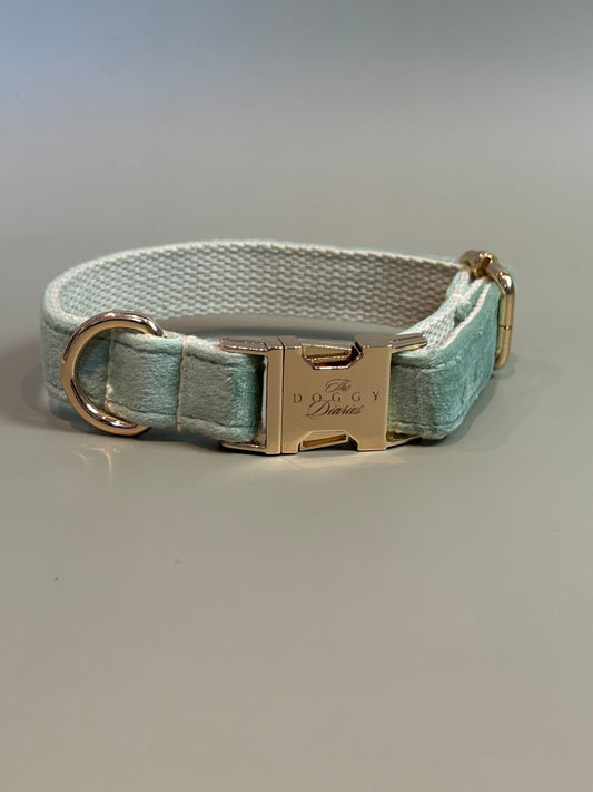 Timeless Sage Velvet Collar